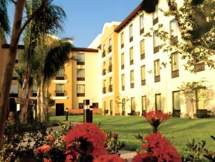 homewood suites by hilton mcallen