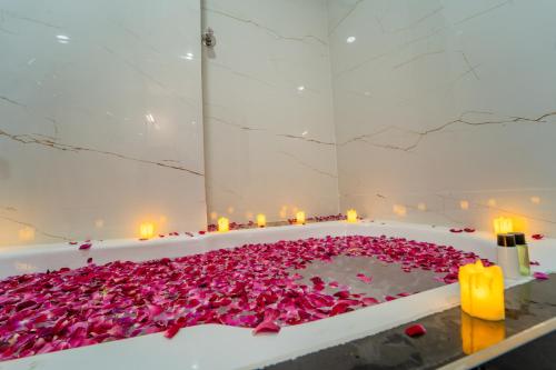 palm hotel mansarovar