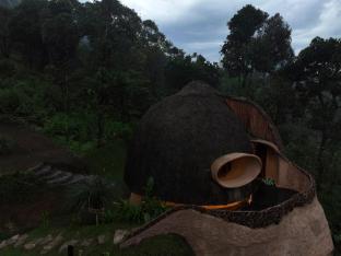 toroland munnar