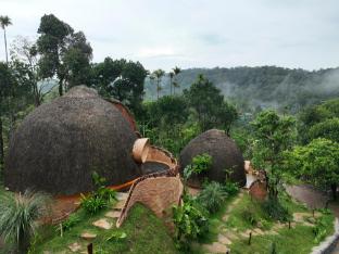 toroland munnar