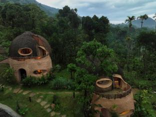 toroland munnar