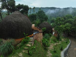 toroland munnar