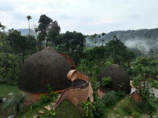 toroland munnar