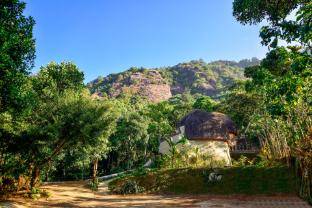 toroland munnar