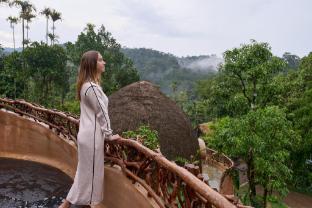 toroland munnar