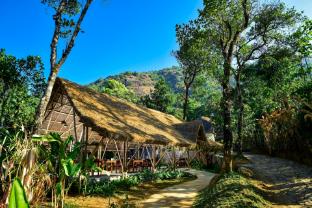 toroland munnar