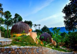 toroland munnar
