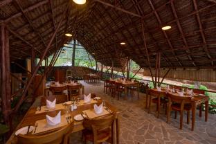 toroland munnar