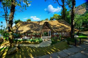 toroland munnar