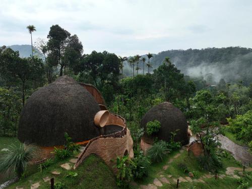toroland munnar
