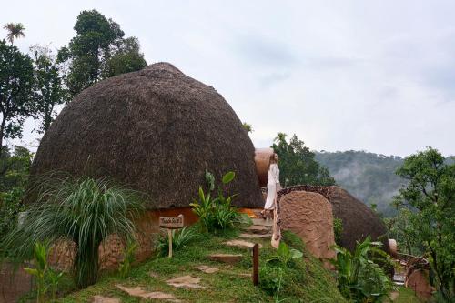 toroland munnar