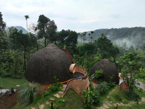 toroland munnar