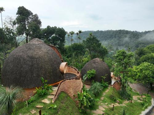 toroland munnar