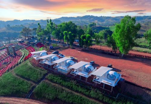 Khaokho Flower Camp,,5 star