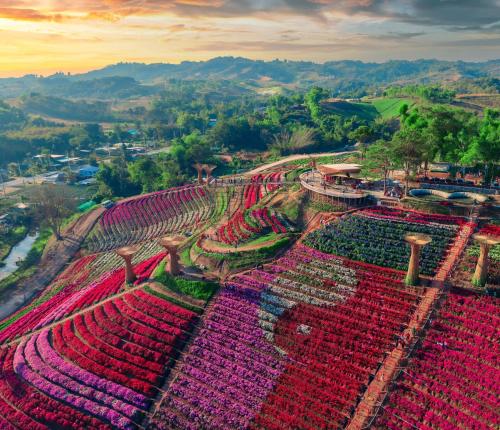 Khaokho Flower Camp,,5 star