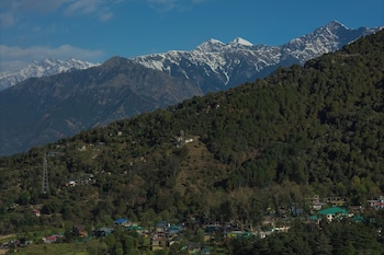 the social stays bir formerly artbuzz