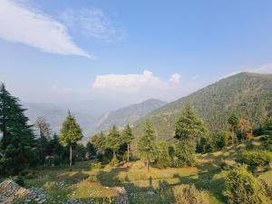 the frost heaven dalhousie