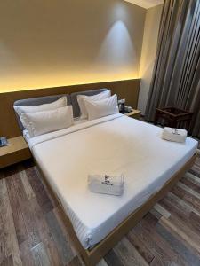 hotel fortune mandsaur