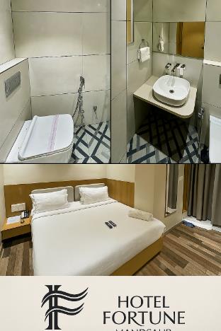 hotel fortune mandsaur