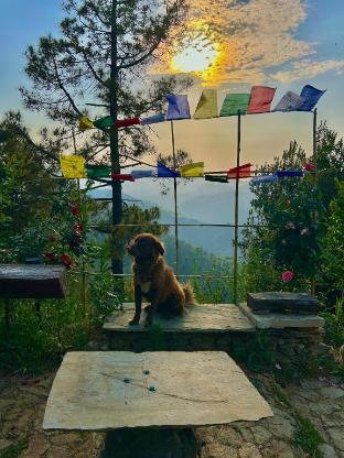 mukteshwar