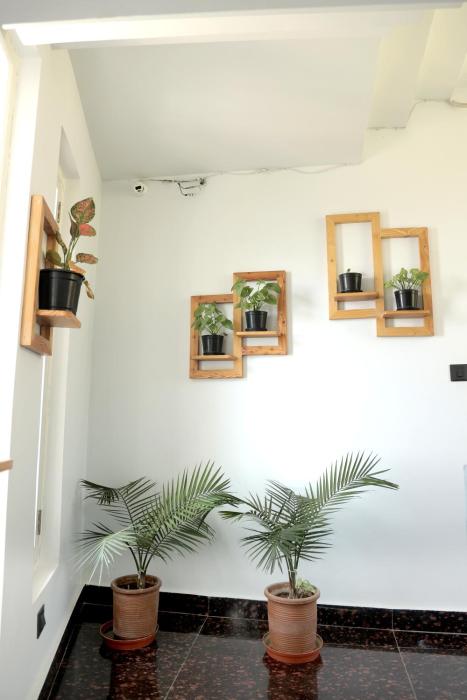 alpine bnb dharmshala