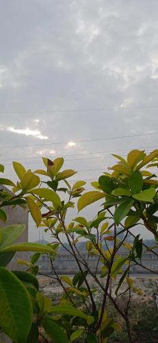 Yogam Homestay Agra,,3 star