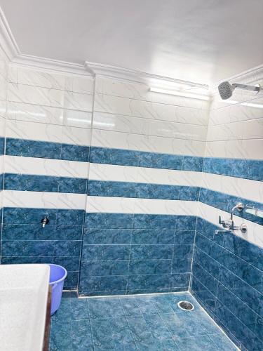 shikarys palace home stay