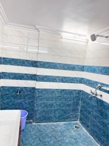 shikarys palace home stay