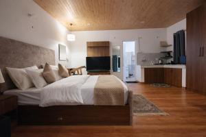 echoes of the himalayas