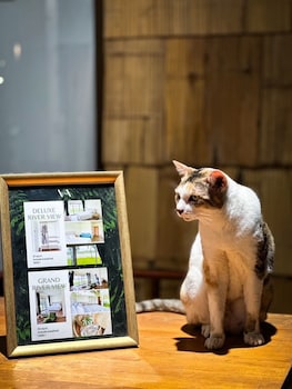 Vaa Chachoengsao,,3 star