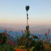kalimpong