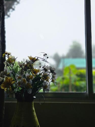 kurseong kothee homestay