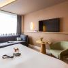 novotel nancy