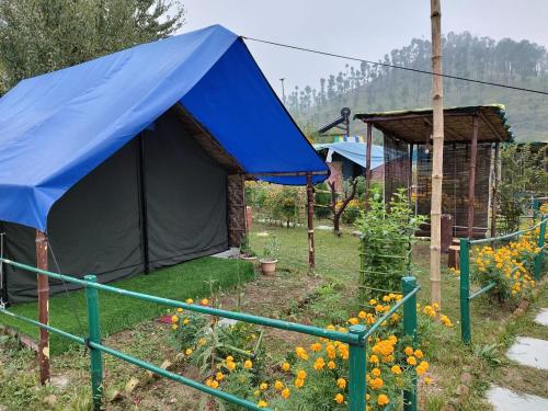 nisarg camping pods