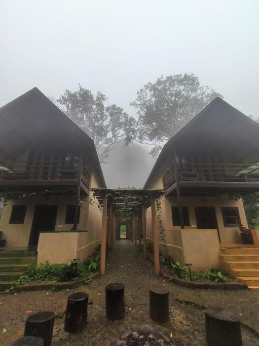 kaatikaadu