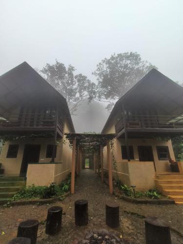 kaatikaadu