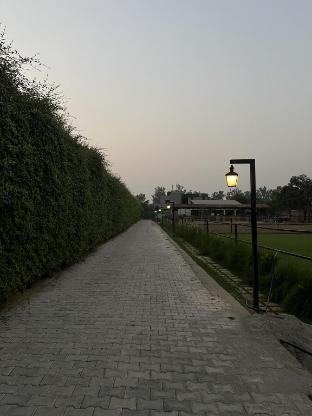 vrindavan
