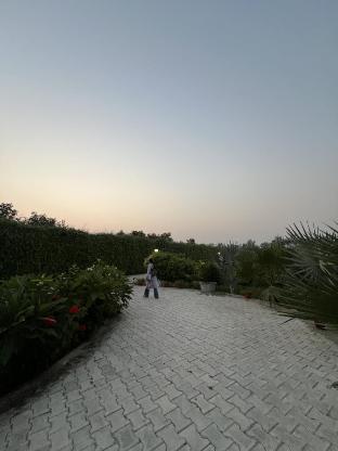 vrindavan
