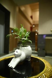 purple orchid hotel