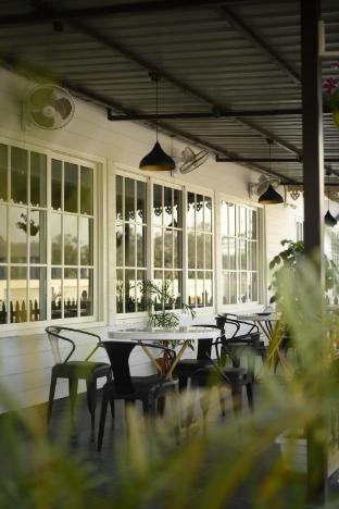 purple orchid hotel