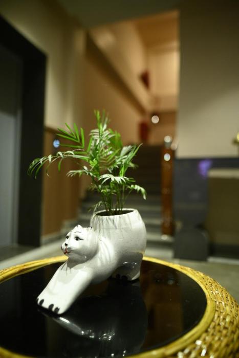 purple orchid hotel