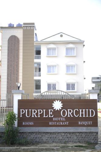 purple orchid hotel