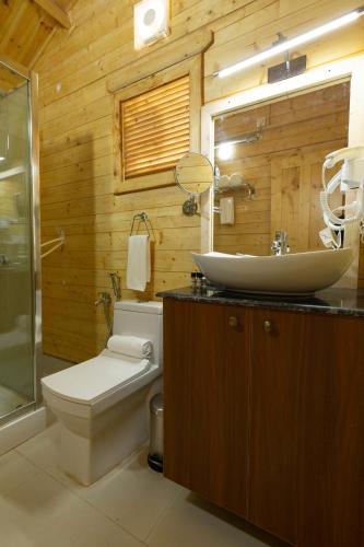 axiom resort luxury cottages arambol