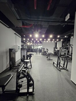 midori elegant living