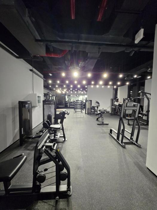 midori elegant living