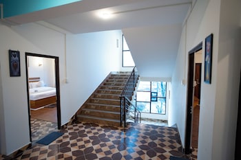 verdant the lush gateway