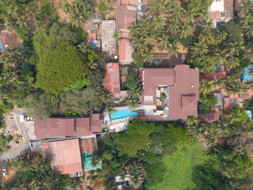 effotel by sayaji calangute goa