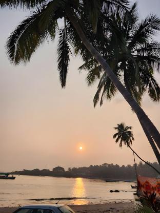 coconut cottage malvan
