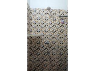 dhamstay hotel padmabati homestay near temple and beach puri