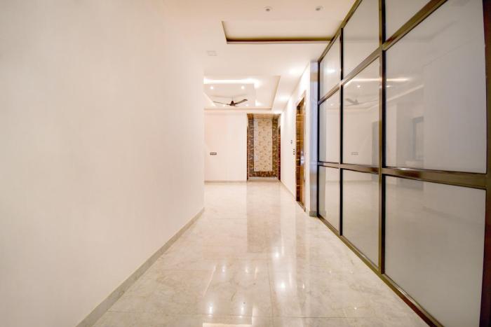 collection o the oraya